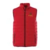Men's Polyester Insulated Full Zip Vest -Gildan T-Shirts Shop tm19542 2